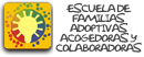 Escuela de familias adoptivas, acogedoras y colaboradoras